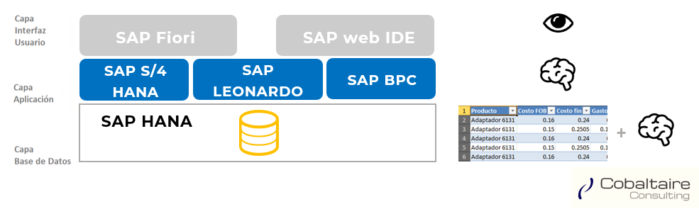3 Capas de SAP